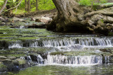 05/25/2011 - _MG_1254.jpg