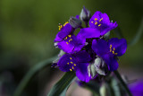 06/14/2011 - _MG_1705.jpg