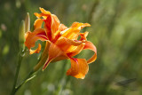 07/11/2011 - _MG_2401.jpg