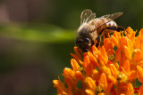 07/15/2011 - _MG_2501.jpg