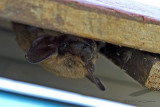 07/17/2011 - _MG_2590.jpg