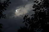 09/04/2011 - _MG_3418.jpg
