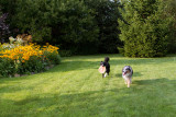 09/11/2011 - _MG_3579.jpg