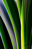 10/02/2011 - _MG_3914.jpg