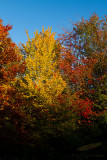 10/08/2011 - _MG_4024.jpg