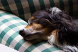 10/15/2011 - _MG_4083.jpg
