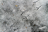 01/20/2012 - _MG_4924.jpg