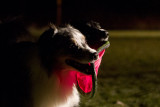 02/10/2012 - _MG_5153.jpg