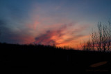 03/13/2012 - _MG_5358.jpg