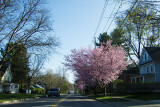 03/26/2012 - IMG_2429.jpg