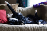 03/31/2012 - _MG_5416.jpg