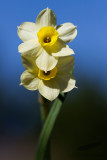 04/07/2012 - _MG_5491.jpg