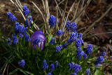 04/08/2012 - _MG_5496.jpg