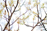 04/14/2012 - _MG_5574.jpg