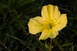05/16/2012 - _MG_5945.jpg