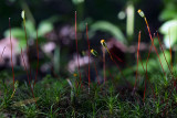 06/13/2012 - _MG_6434.jpg