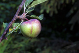 06/29/2012 - _MG_6683.jpg
