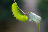 07/02/2012 - _MG_6771.jpg