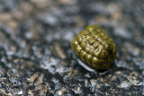 07/07/2012 - _MG_6925.jpg