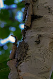 07/19/2012 - _MG_7148.jpg