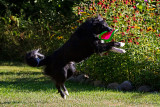 08/06/2012 - _MG_7549.jpg