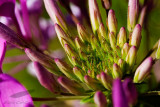 08/07/2012 - _MG_7590.jpg