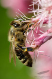 08/09/2012 - _MG_7617.jpg