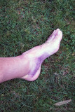08/13/2012 - IMG_3024.jpg