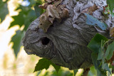08/22/2012 - _MG_7963.jpg