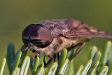 08/23/2012 - _MG_7979.jpg