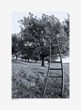 Stairway to Heaven