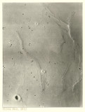 56 Bessel