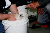 Chick receives a little warning from Dr. Bob