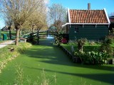 Algae-filled canal