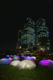 Ilight12 Coral Garden.jpg