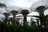 Supertree Grove- Gardens by the Bay, Singapore