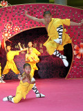 Shaolin Temple