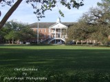 Lafayette Parish - Lafayette - University of Louisiana -  Lafayette   Martin Hall