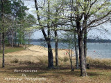 RAPIDES PARISH LOUISIANA