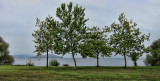 North edge of Lake Rotorua