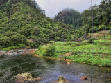 Karangahake Gorge