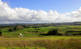 Dairy Flat, North Shore, Akld