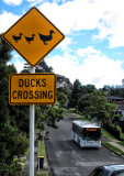 Road Sign