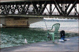 Auckland Harbour Bridge