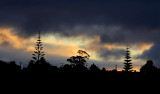 The sky tonight - facing west