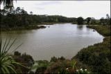 Riverhead - the top of the Waitemata Harbour