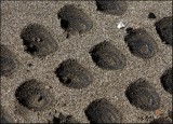 Patterns in the Sand