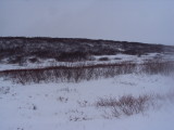DSC07739.JPG