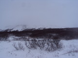 DSC07741.JPG