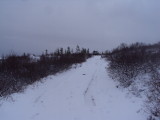 DSC07743.JPG